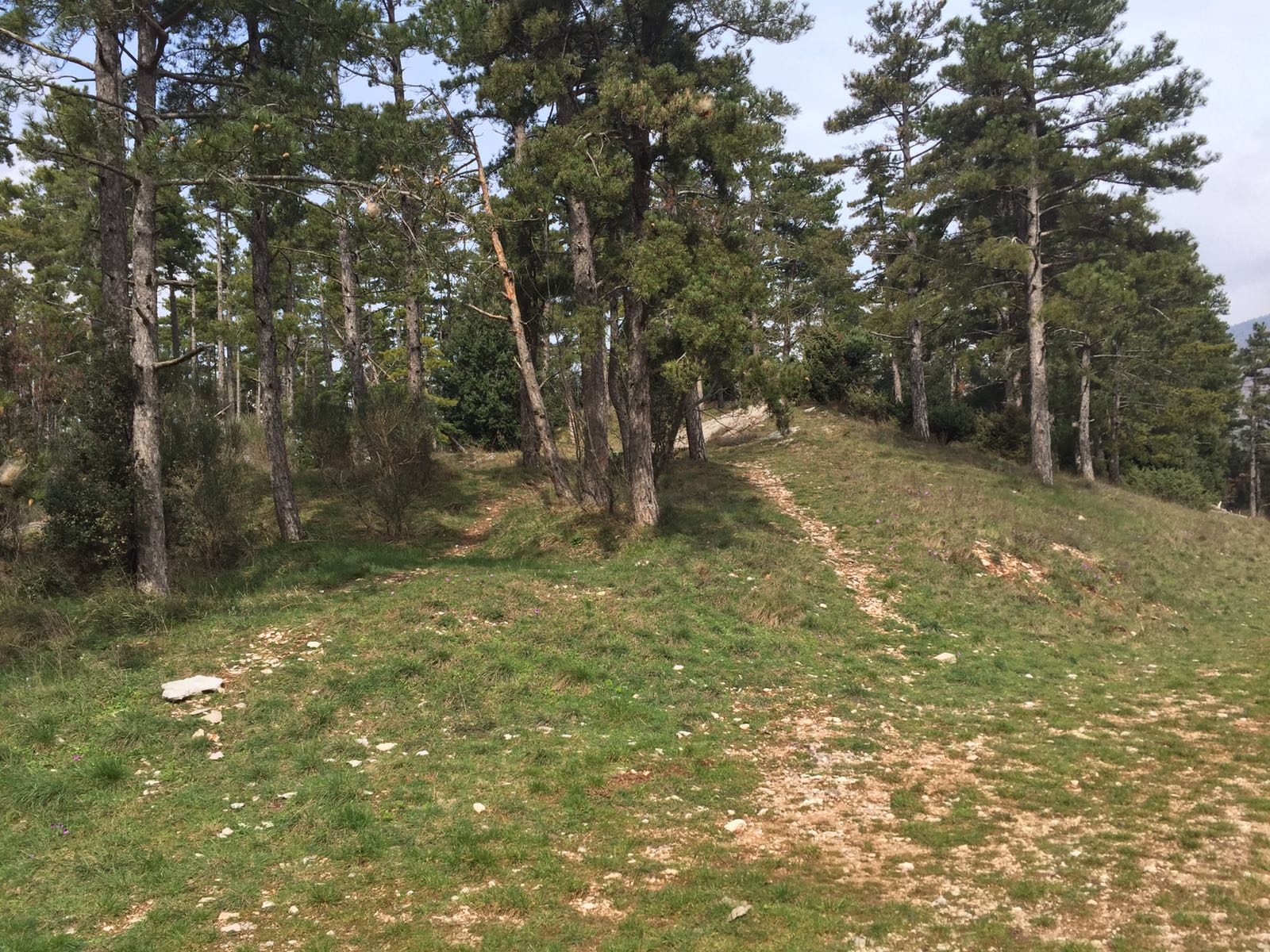 20160300 Base Scout La Colonia prato 05
