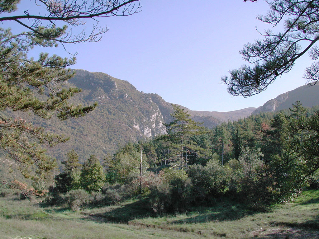 base scout umbria la colonia 002 pineta prato piccolo montagna