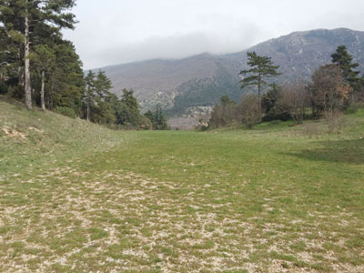base scout umbria la colonia 002 pineta prato piccolo montagna nord