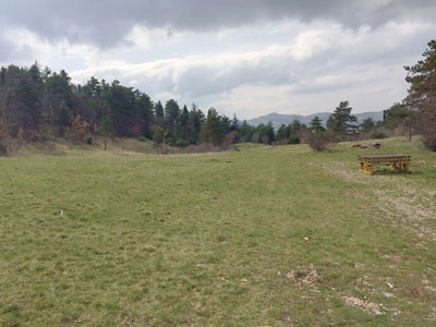 base scout umbria la colonia 003 pineta prato grande
