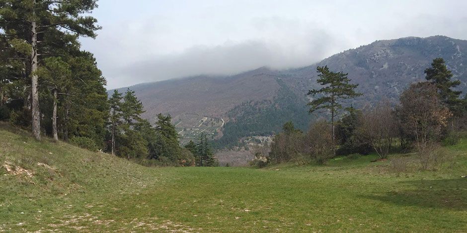 Base scout - Il prato piccolo