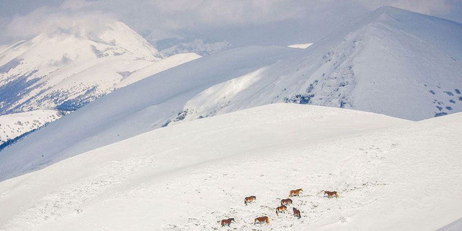 Monte Serrasanta, sopra la base, collegato con sentiero